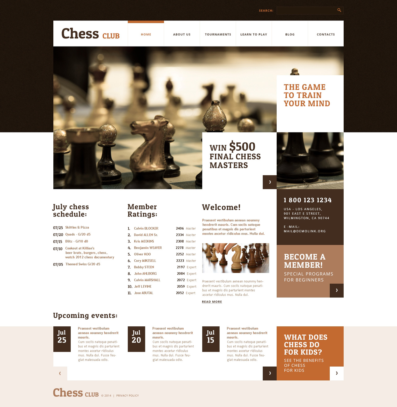 szablon-wordpress-48426-na-temat-szachy